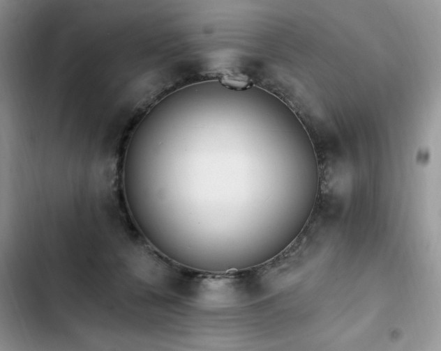 X0000103230560200808281433