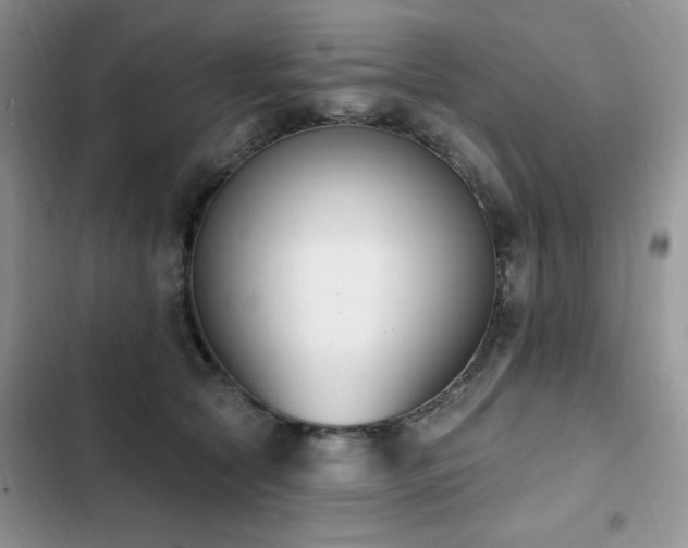 X0000103230561200808281433