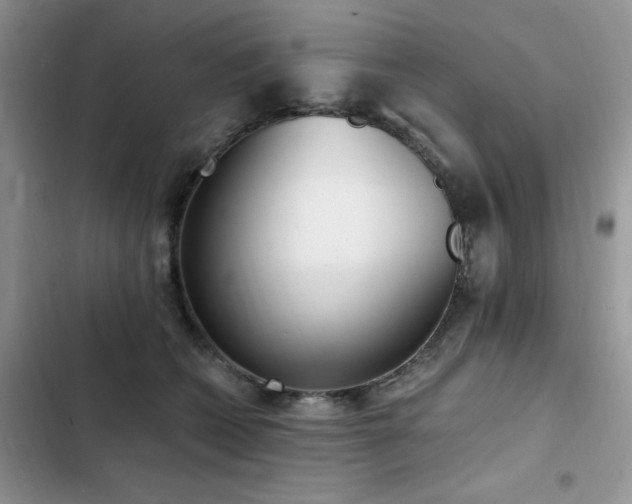 X0000103230562200808281433