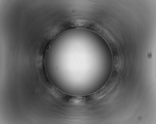X0000103230563200808281433