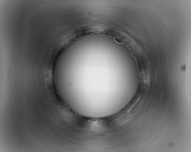 X0000103230564200808281433