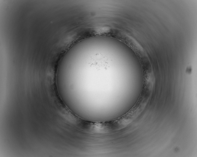X0000103230565200808281433