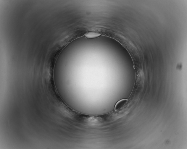 X0000103230566200808281433