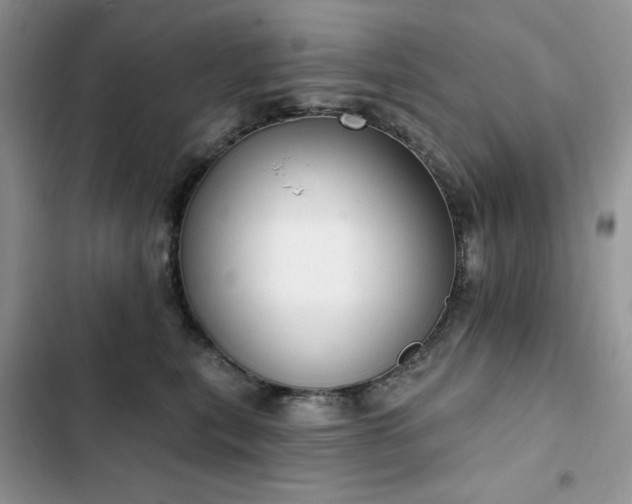 X0000103230567200808281433