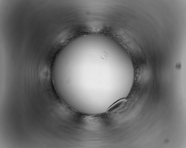 X0000103230568200808281433