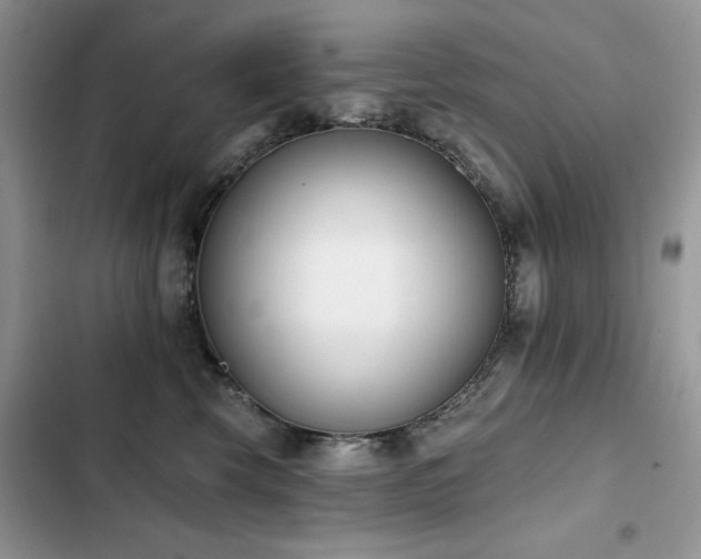X0000103230569200808281433