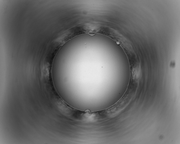 X0000103230570200808281433