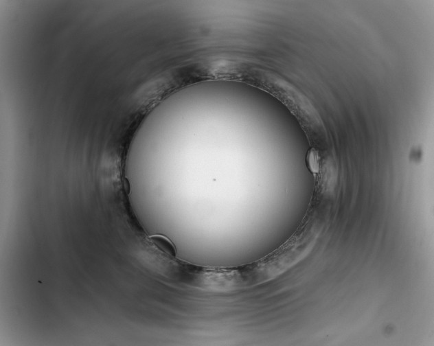 X0000103230571200808281433