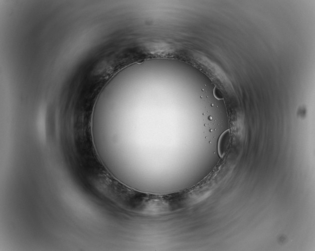 X0000103230572200808281433