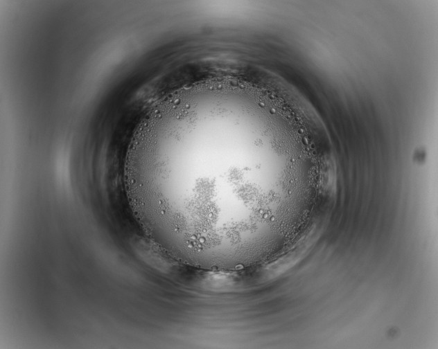 X0000103230573200808281433