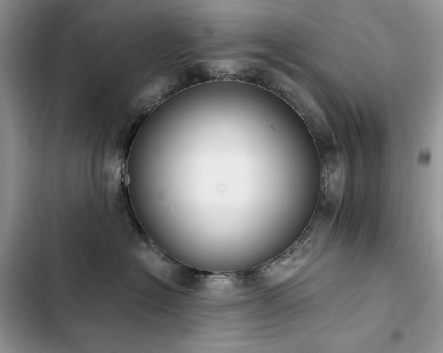 X0000103230574200808281433