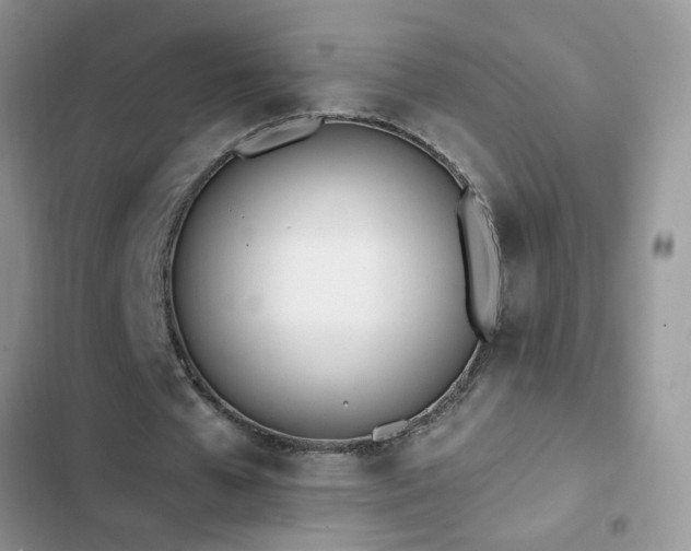 X0000103230577200808281432