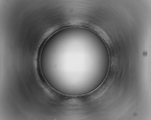 X0000103230578200808281432
