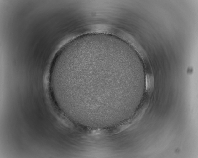 X0000103230579200808281432