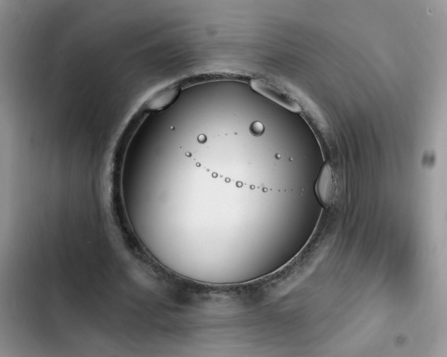 X0000103230580200808281432