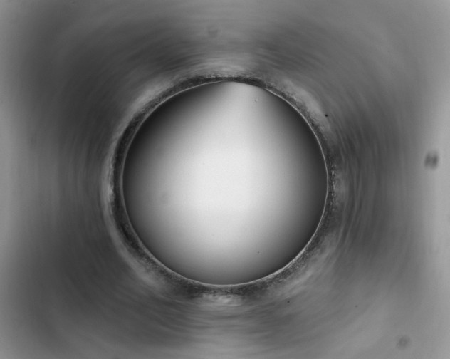 X0000103230582200808281432