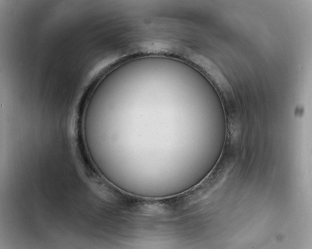 X0000103230583200808281432