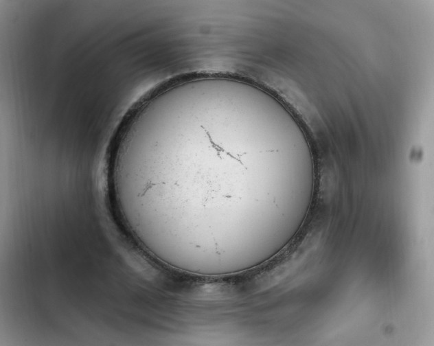 X0000103230584200808281432