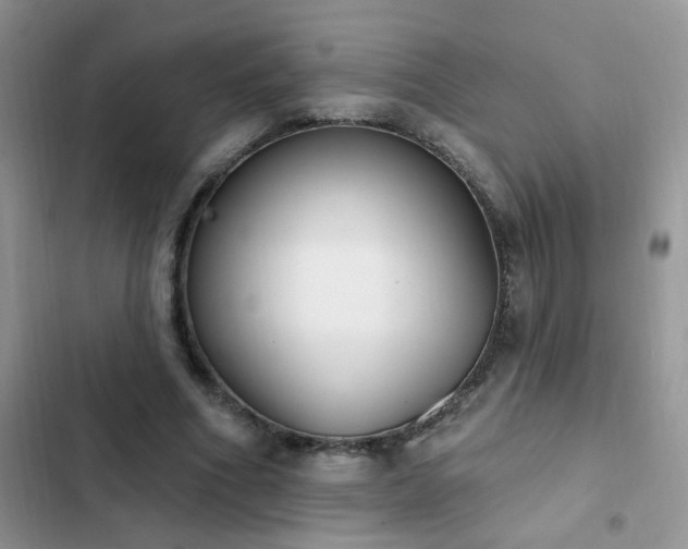 X0000103230586200808281432