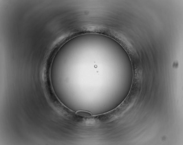 X0000103230587200808281432