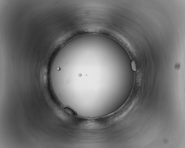 X0000103230589200808281432