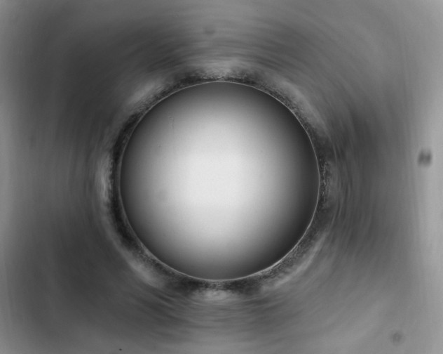 X0000103230590200808281432