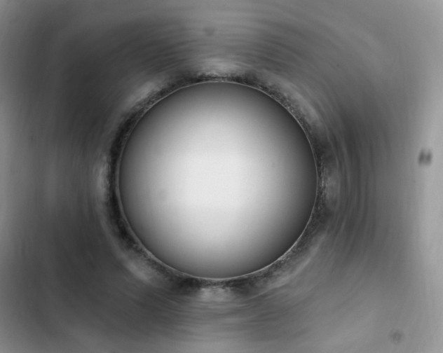 X0000103230591200808281432