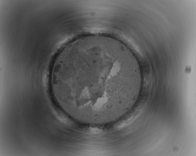 X0000103230592200808281432