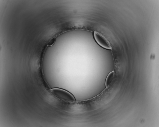 X0000103230593200808281432