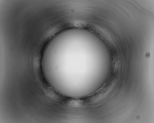 X0000103230595200808281432