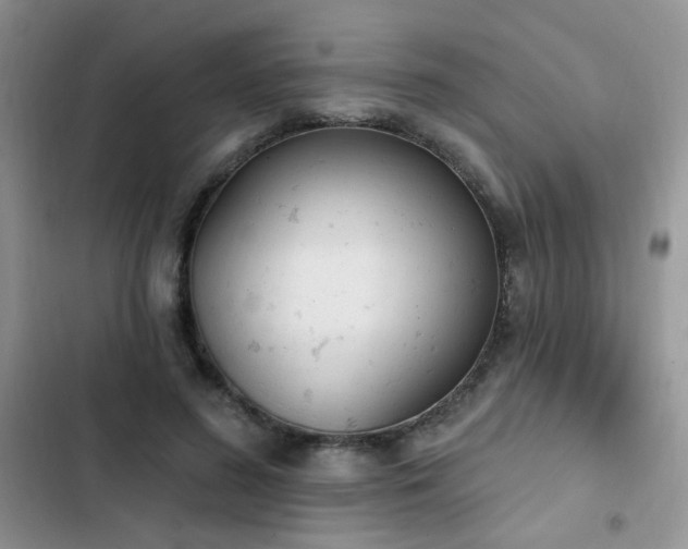 X0000103230596200808281432