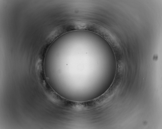 X0000103230598200808281432