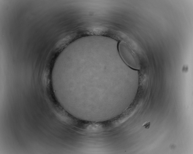 X0000103230599200808281432