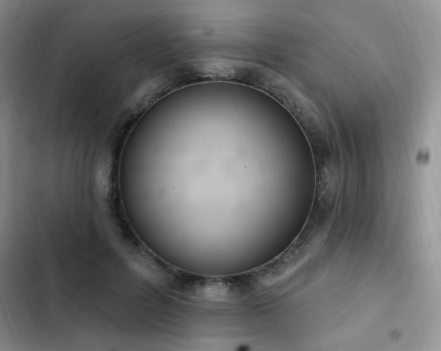 X0000103230600200808281432