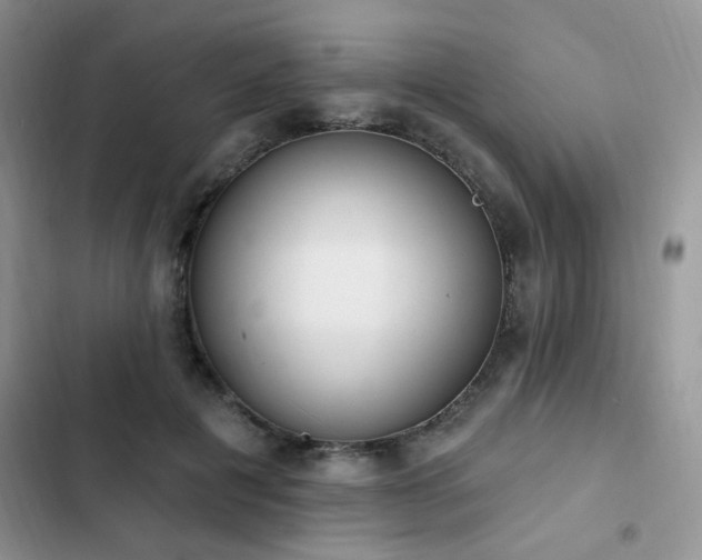 X0000103230601200808281432