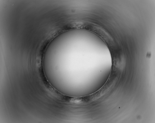 X0000103230602200808281432