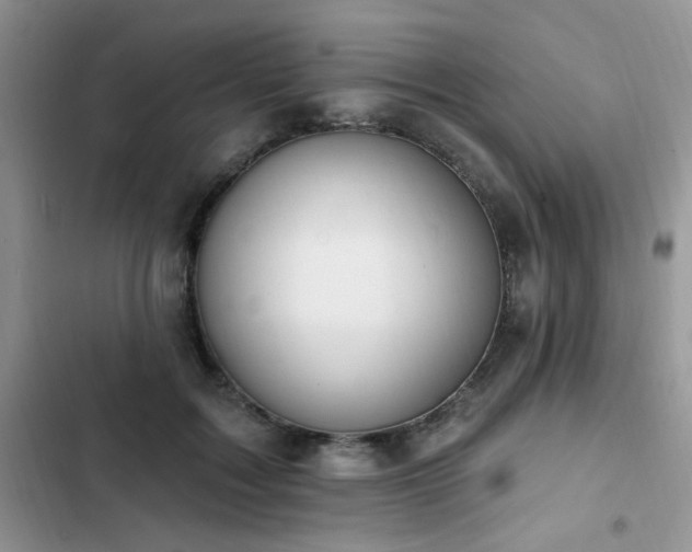 X0000103230603200808281432