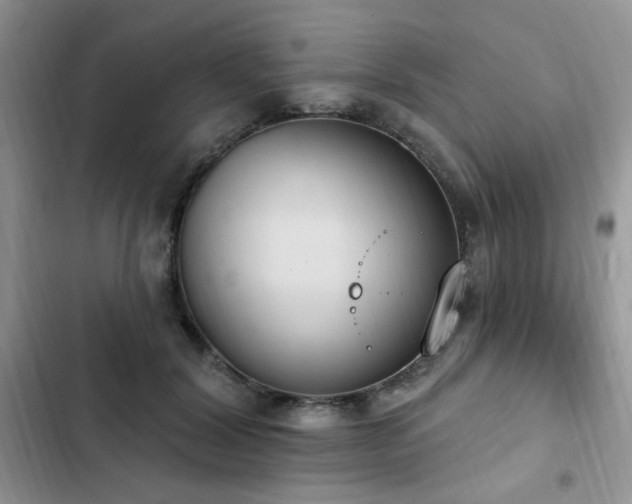 X0000103230604200808281432