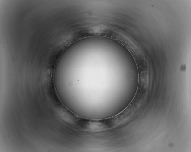 X0000103230605200808281432