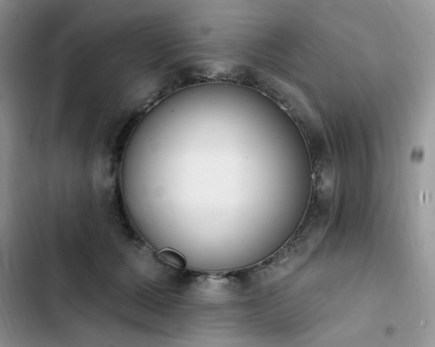 X0000103230607200808281432