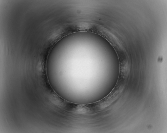X0000103230608200808281432