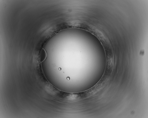 X0000103230609200808281432