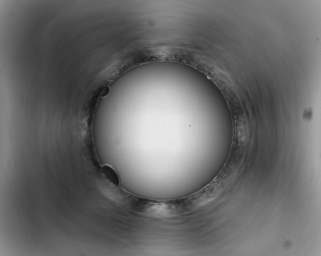 X0000103230611200808281432