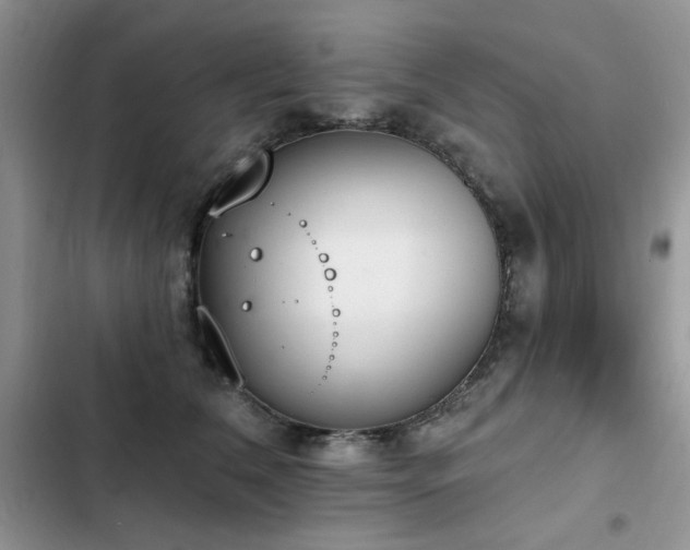 X0000103230612200808281432