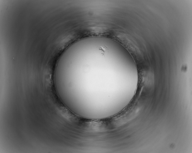 X0000103230615200808281432