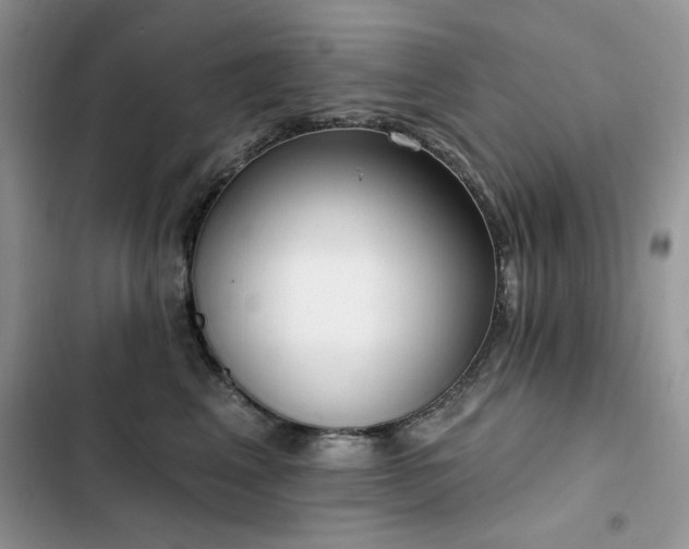 X0000103230617200808281432