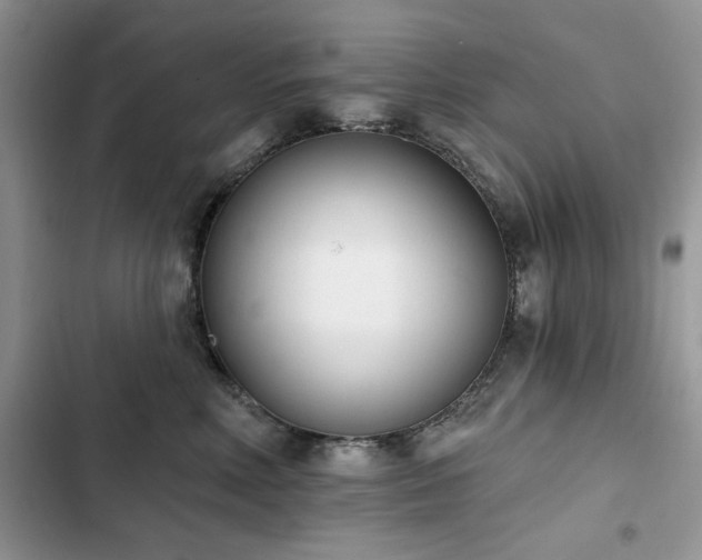 X0000103230618200808281432