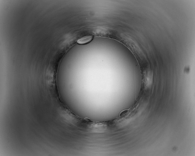 X0000103230619200808281432