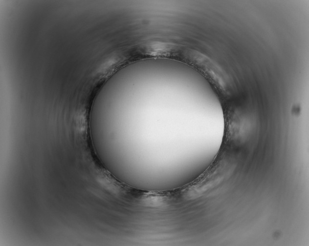 X0000103230620200808281432