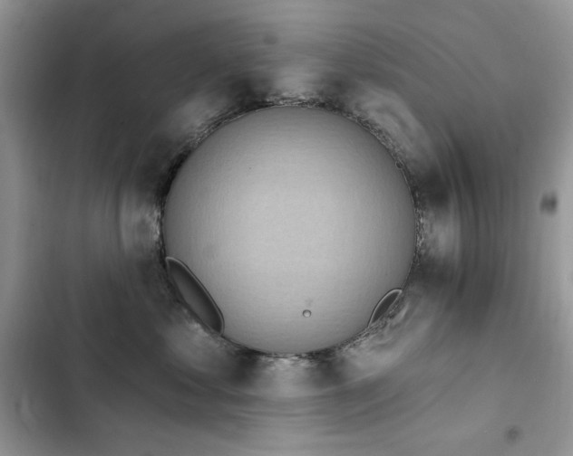 X0000103230621200808281432